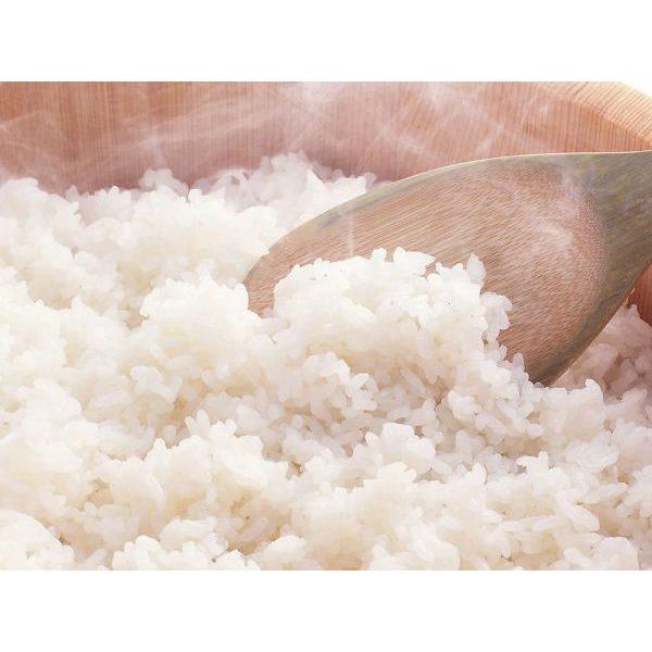 Sushi Rice(Mixture with vinegar) – Hokkaido Sushi Eastlands